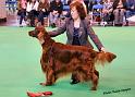 crufts_128