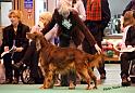 crufts_1281