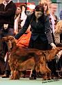 crufts_1282