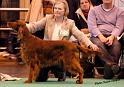 crufts_1288