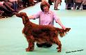 crufts_1314