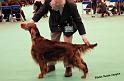 crufts_1320