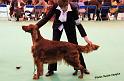 crufts_1322