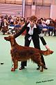 crufts_1323