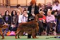 crufts_1332