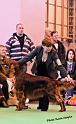 crufts_1350