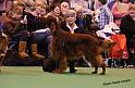 crufts_1387