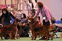 crufts_1390