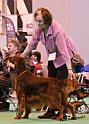 crufts_1391