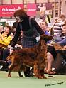 crufts_1392