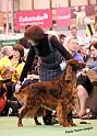 crufts_1394