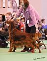 crufts_1396