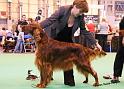 crufts_1402