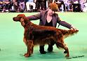 crufts_1407