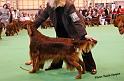 crufts_1418