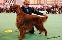 crufts_1419