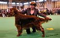 crufts_1421