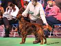 crufts_149