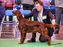 crufts_150