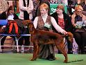 crufts_156