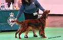 crufts_162