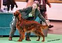 crufts_170