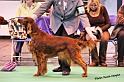 crufts_179