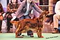 crufts_180