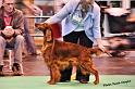 crufts_182