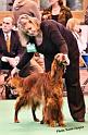 crufts_186