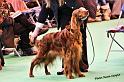 crufts_188