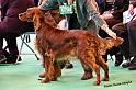 crufts_190