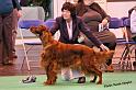 crufts_195