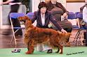 crufts_201