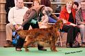 crufts_205