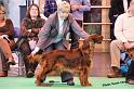 crufts_208