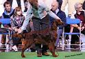 crufts_236