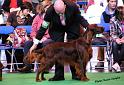 crufts_238