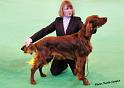 crufts_250