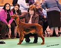 crufts_295