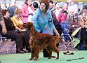 crufts_308