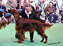 crufts_335