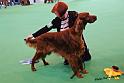 crufts_360