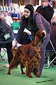 crufts_389