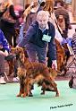 crufts_410