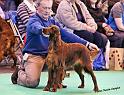 crufts_411