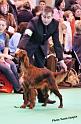 crufts_414