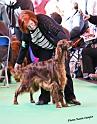 crufts_424