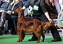 crufts_472