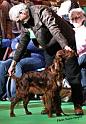 crufts_473